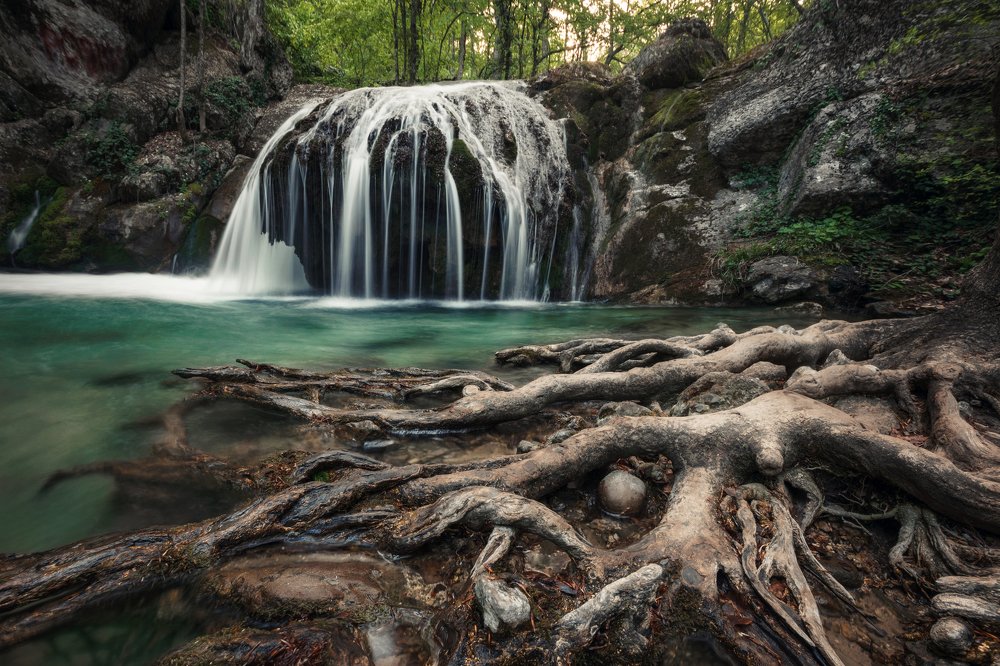 Photograph by Павшинкина Светлана