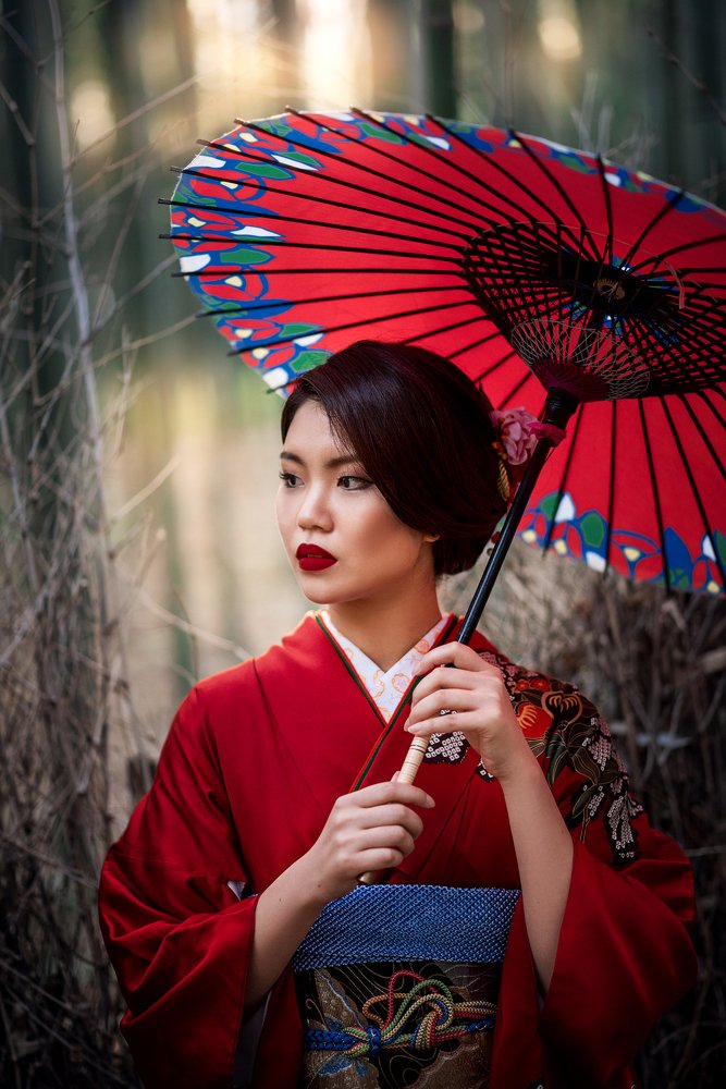 Maiko, Japan