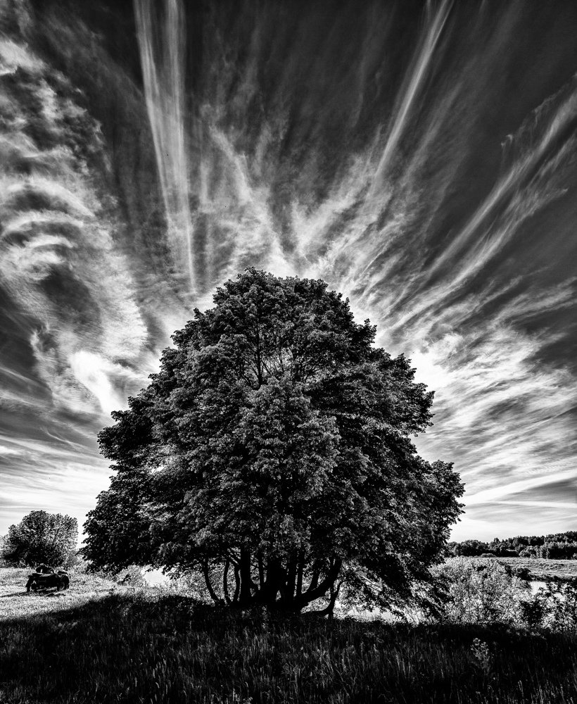 Солдатское озеро близ деревни Сельцы и его