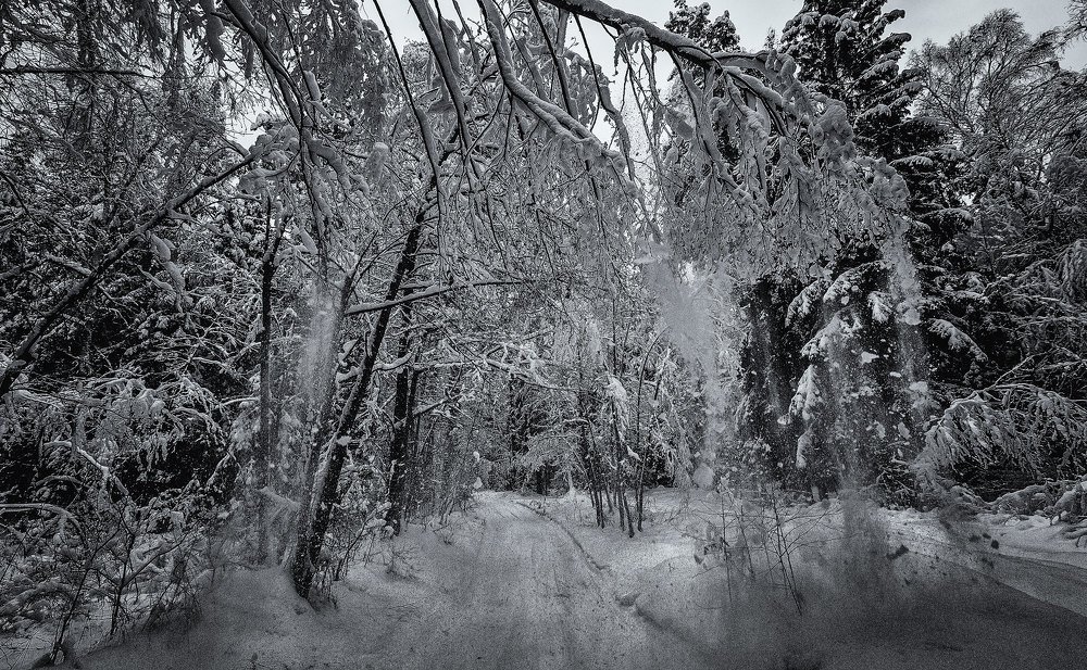 падает снег