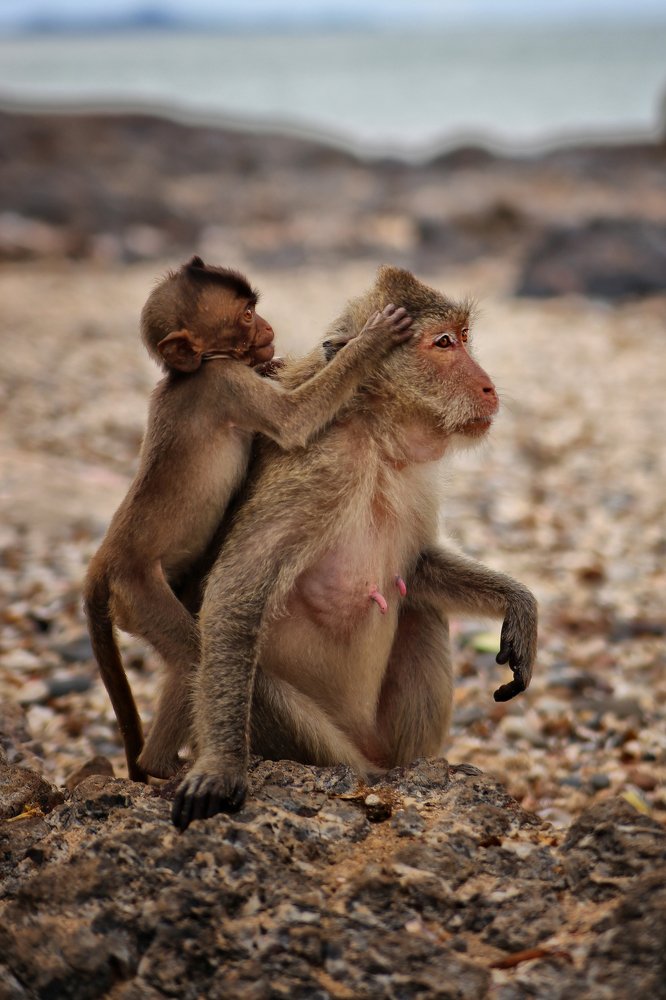 Массаж для мамы