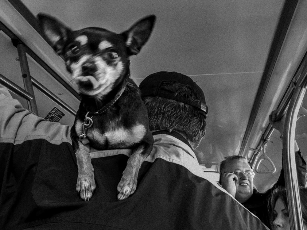 Photograph by Юра Данилович