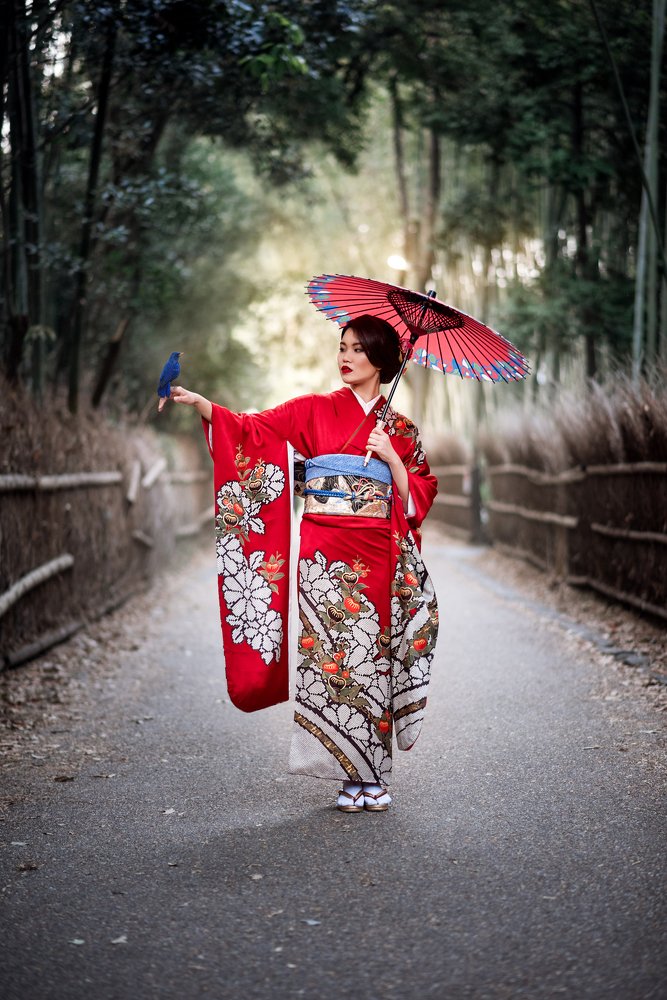Bamboo forest, Japan