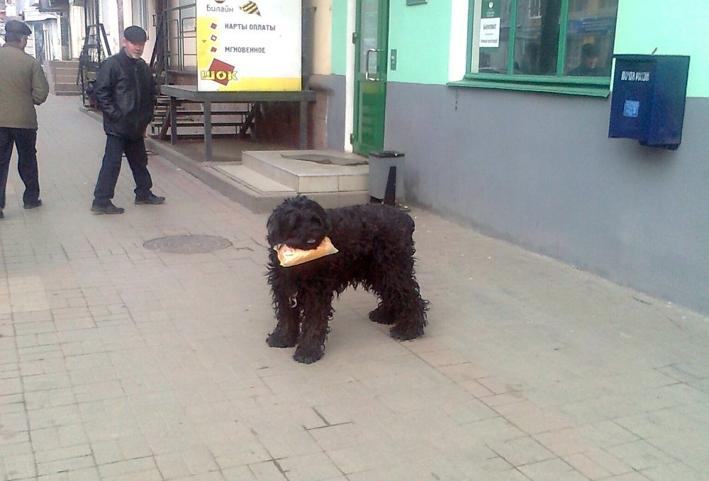 Photograph by Виталий