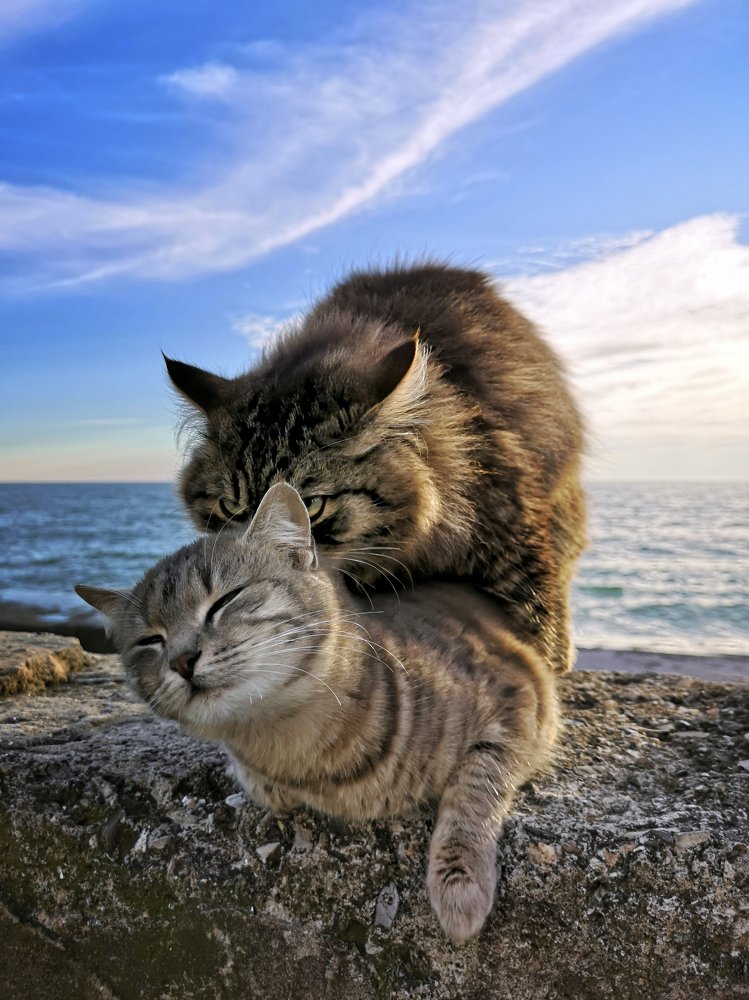 Курортный роман