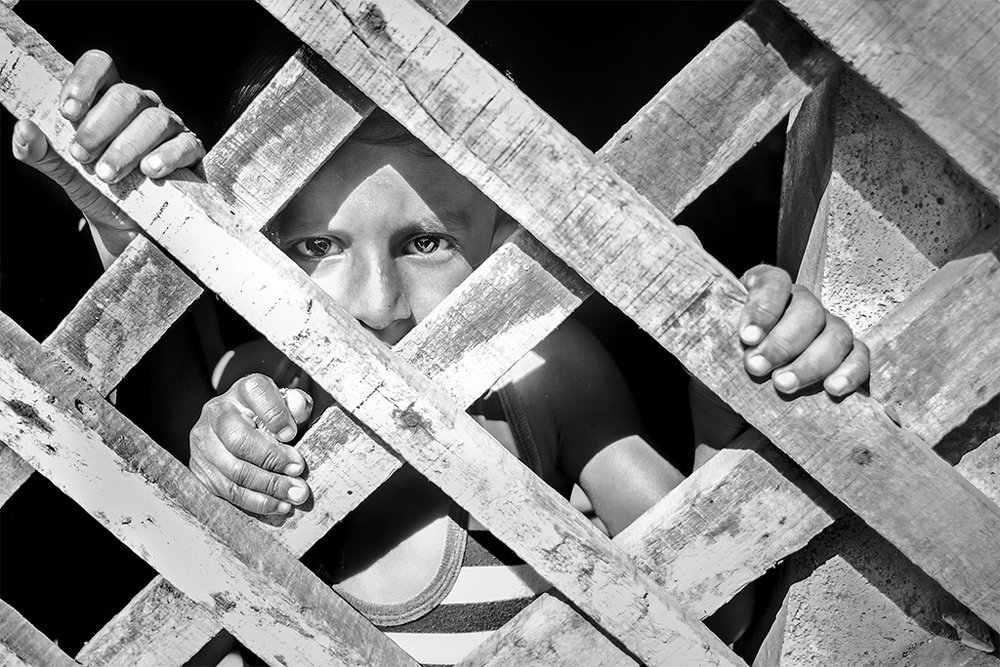 Eyes behind the fence