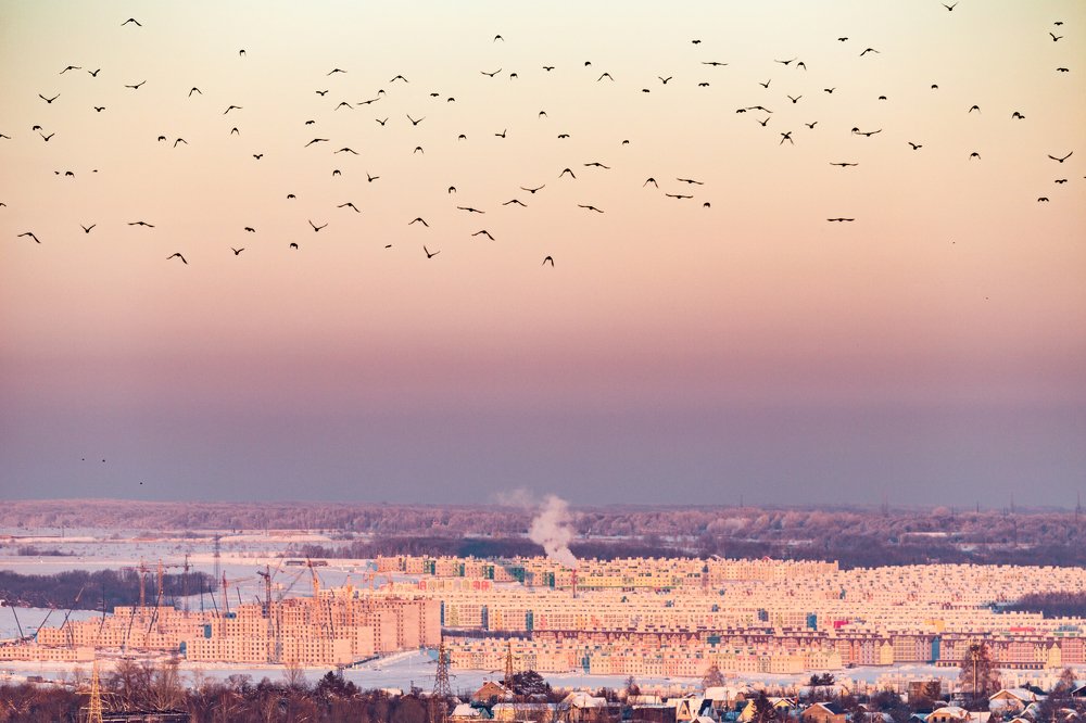 Мимолетность...