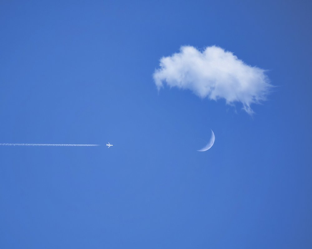 Bird and cloud and airplane
