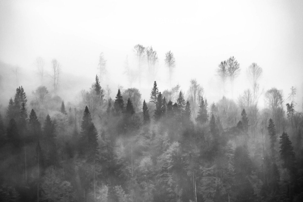 Photograph by Елена Боржковская