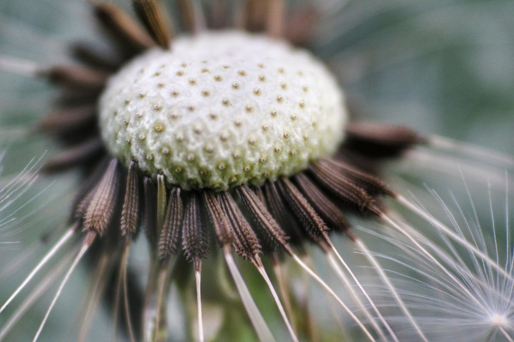 Фотография автора Alina Naidyonova