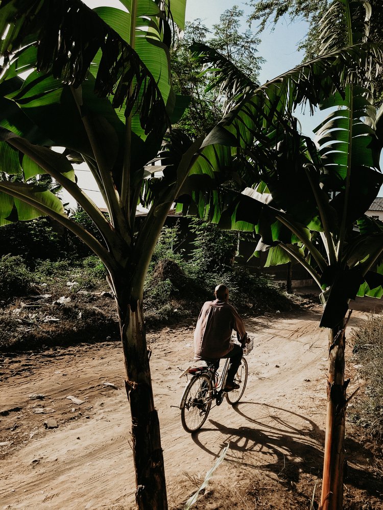 Фотография автора Polina Razumovskaya