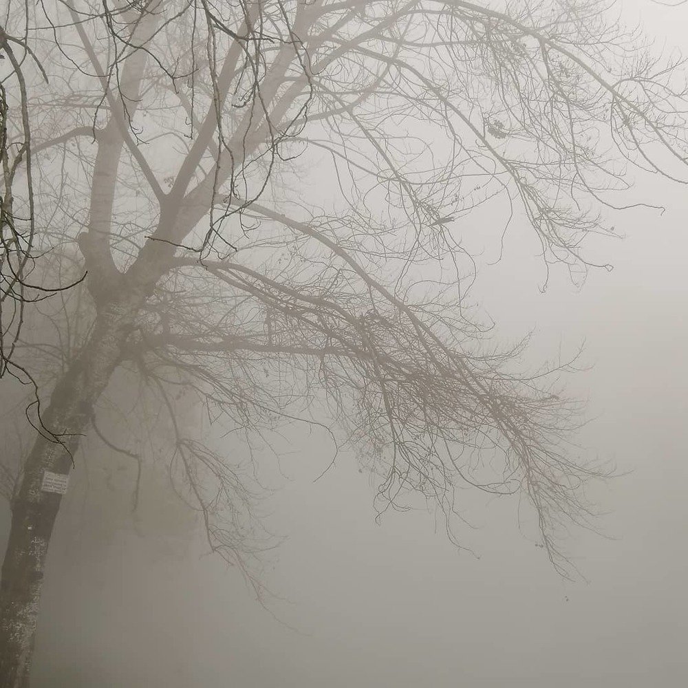 там за туманами