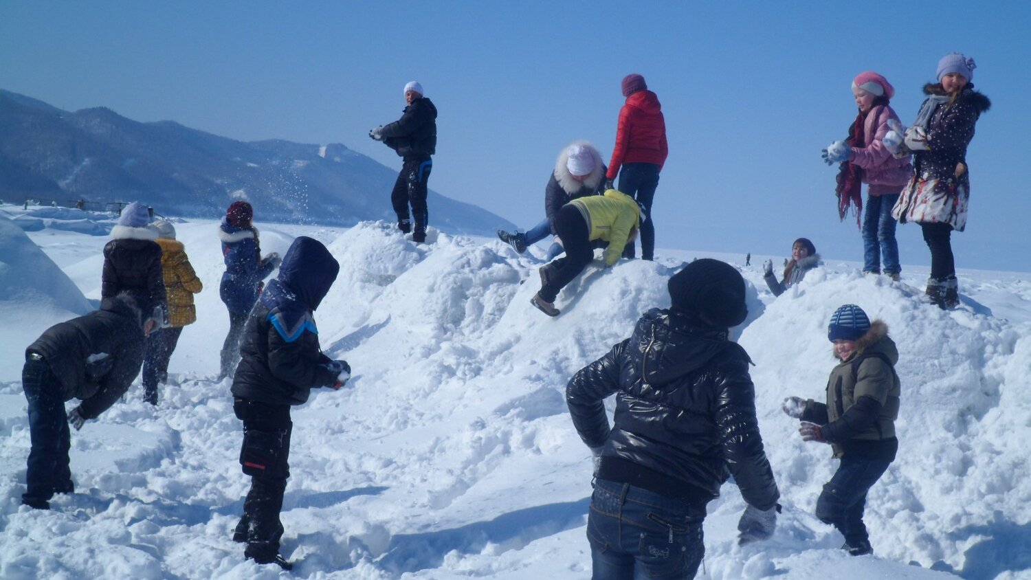 Photo #3229184