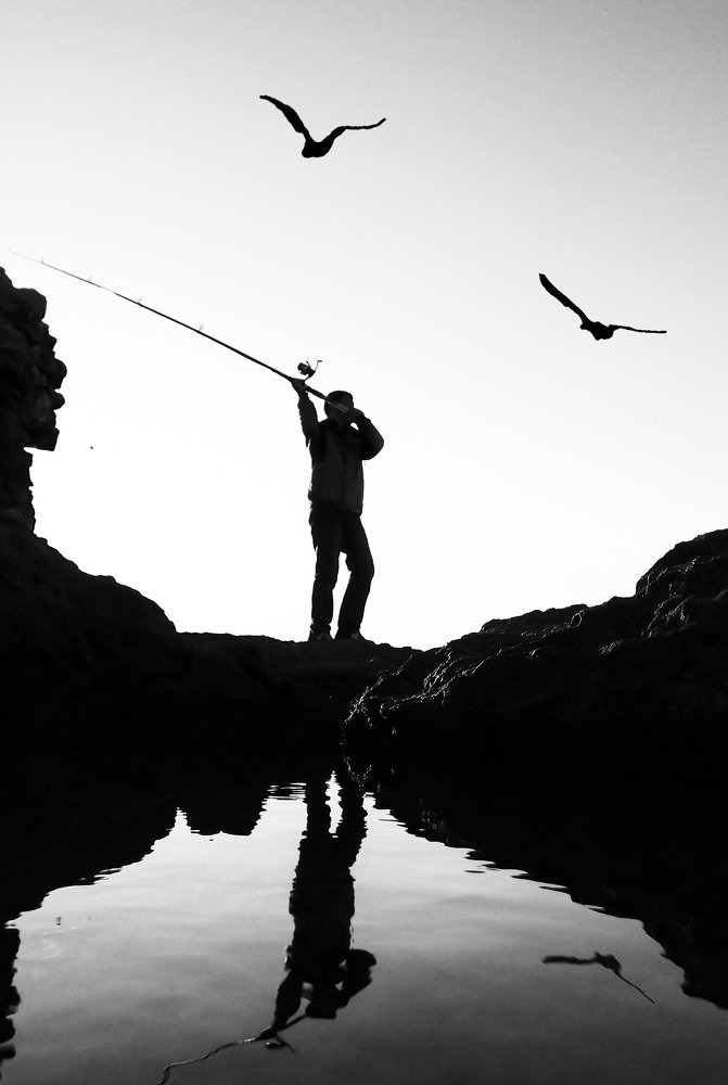 the fisher