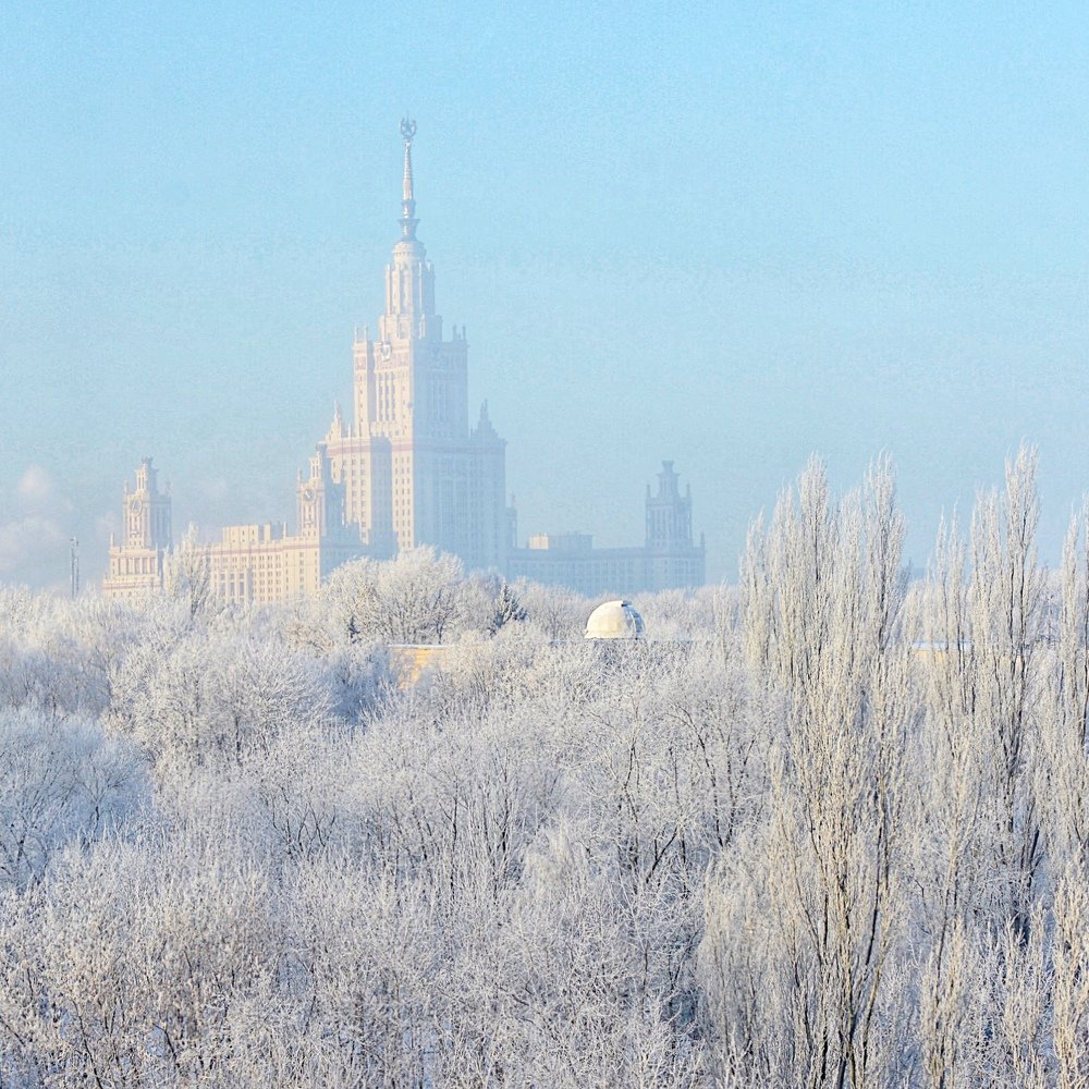 Frozen
