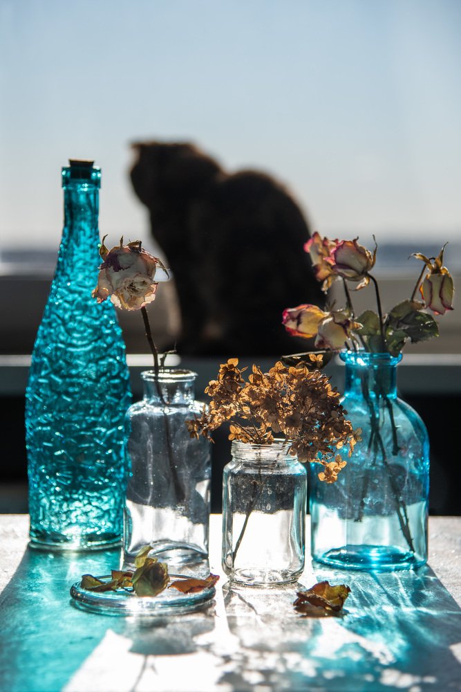 Photograph by Прокошева Екатерина