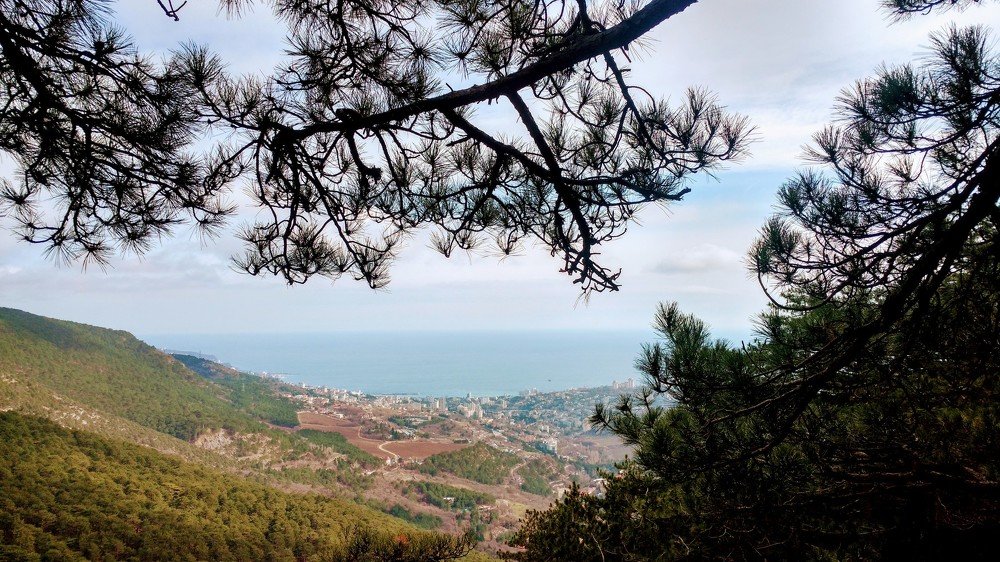 Photograph by Надежда