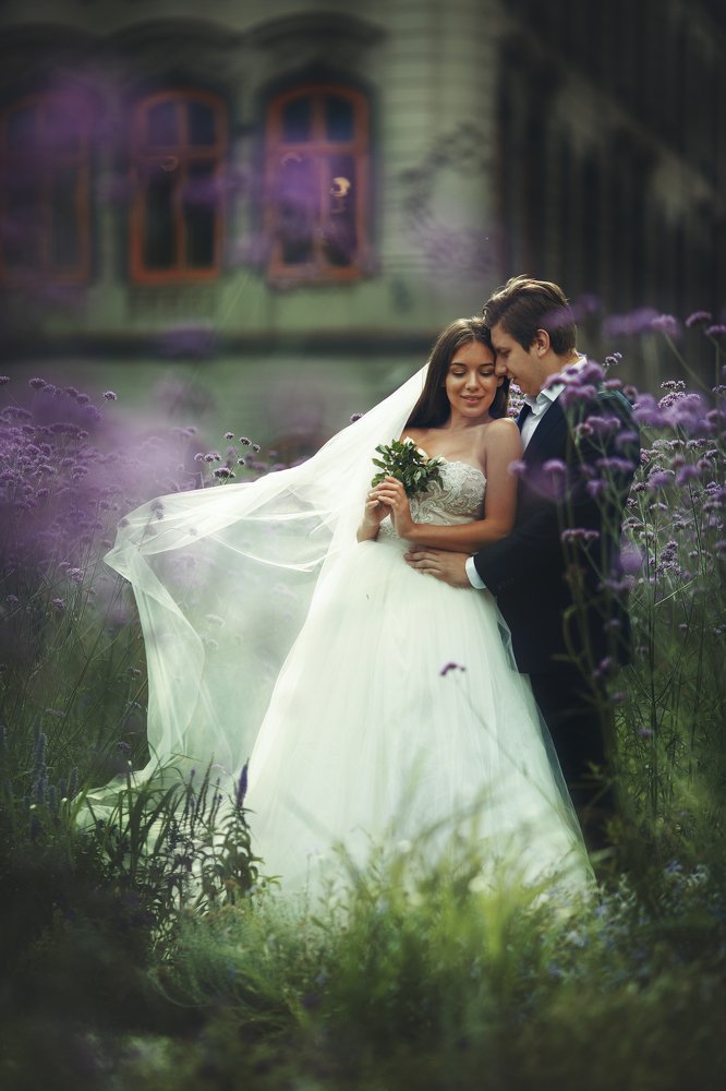 Рижское утро