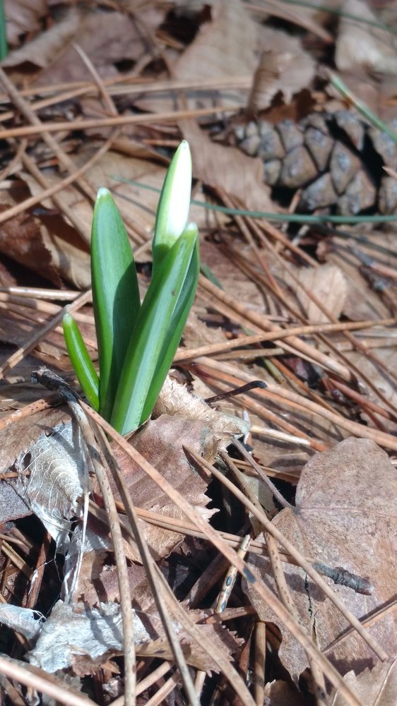 Photograph by Надежда