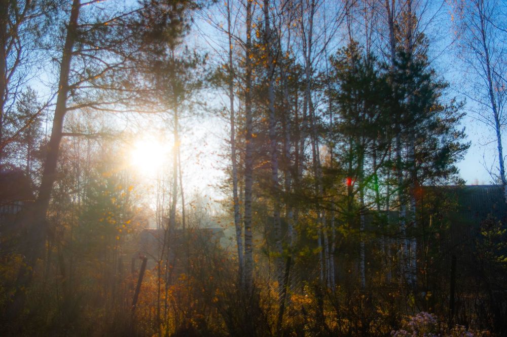 Photograph by Дмитрий Федоров
