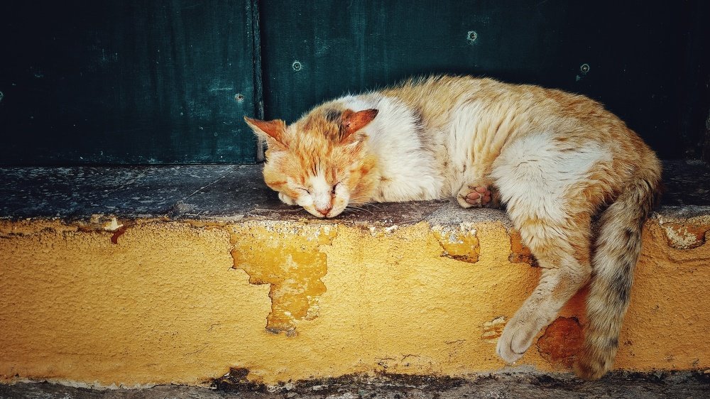 Photograph by Natalia Kholodova