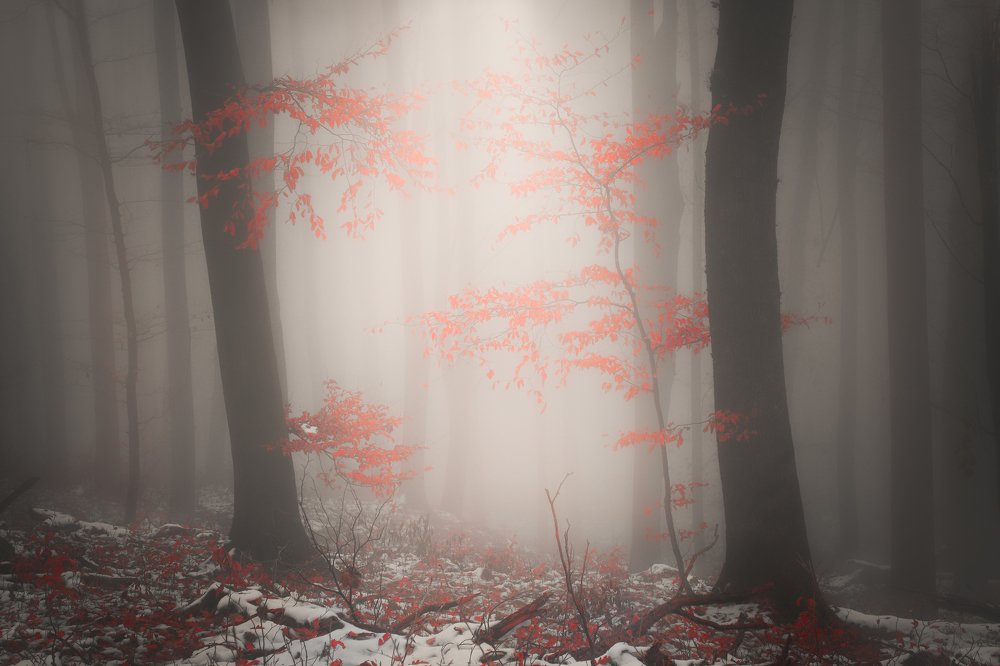 I can see clearly now