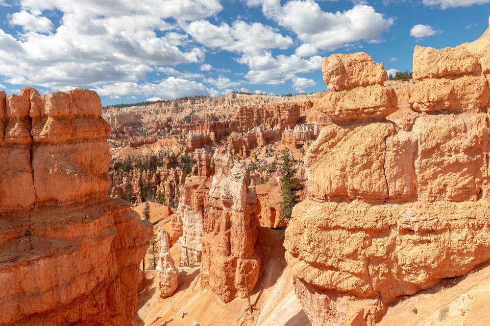 Canyon