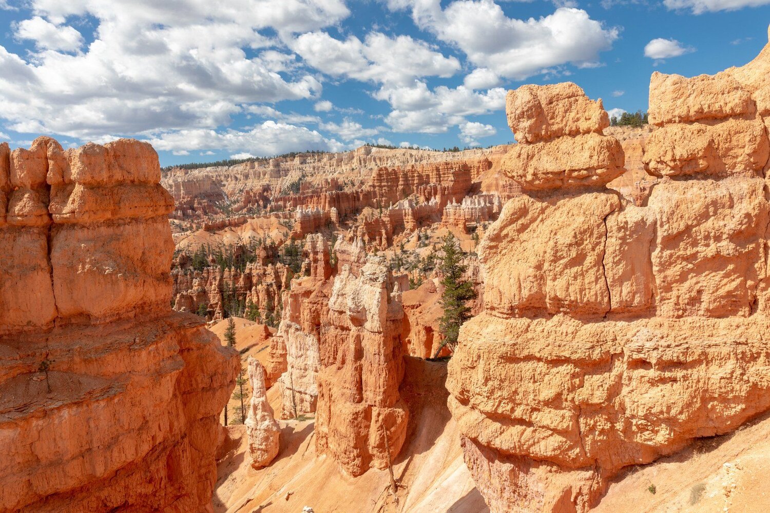 Canyon