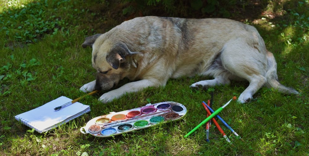 A dog who drawing