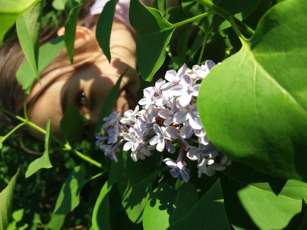 Photograph by Марина Ищукова