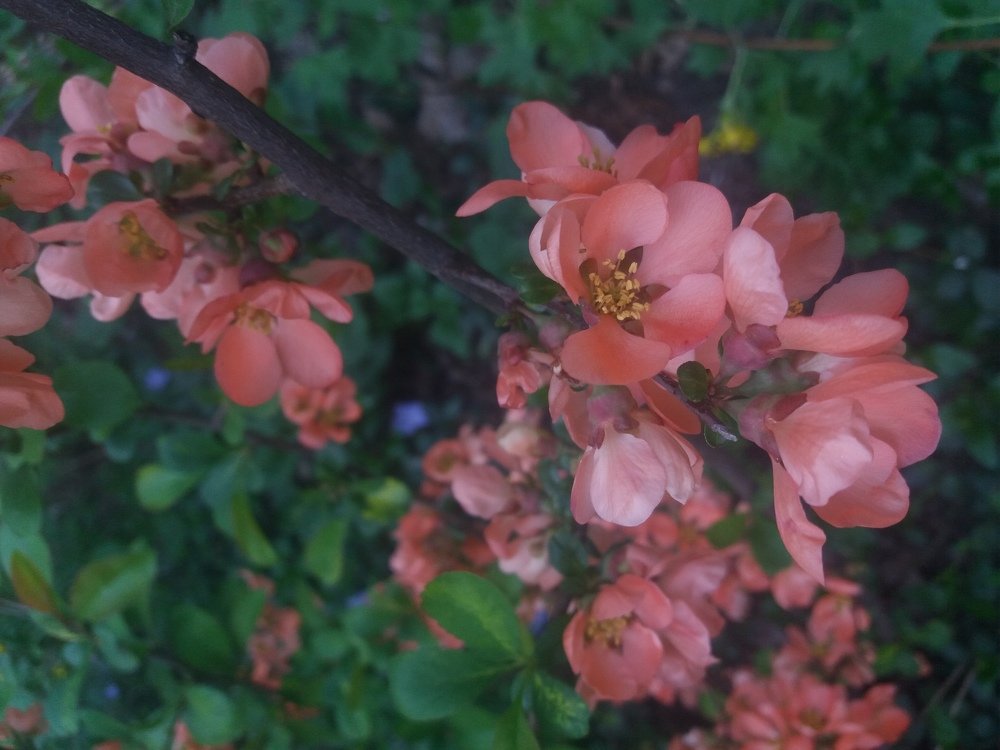 Photograph by Марина Ищукова