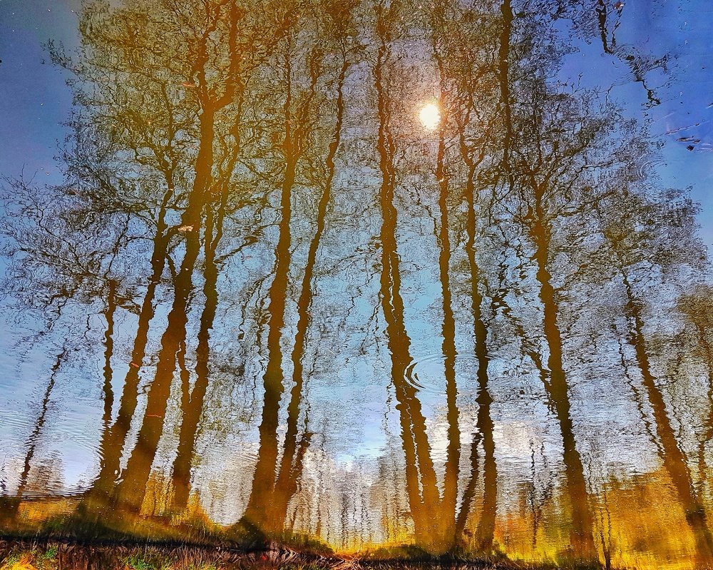 Photograph by Marcin Sokolowski - maarew