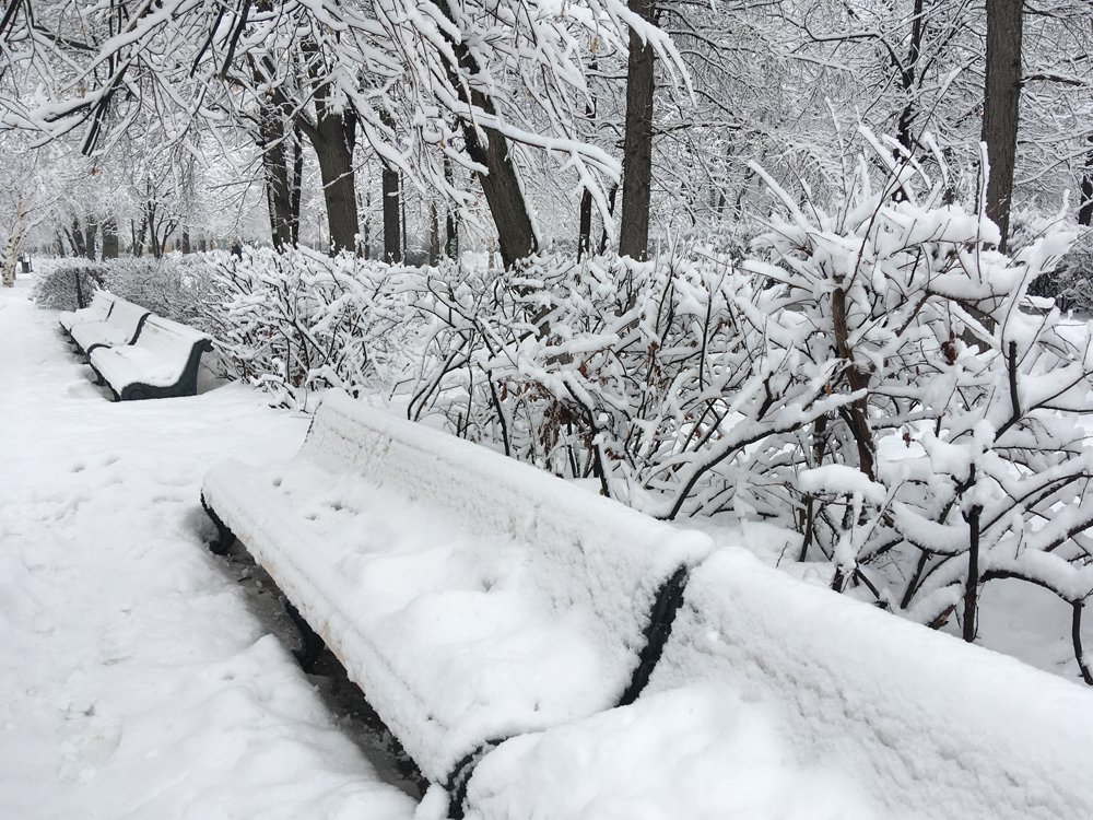 Photograph by Василий Чекорин