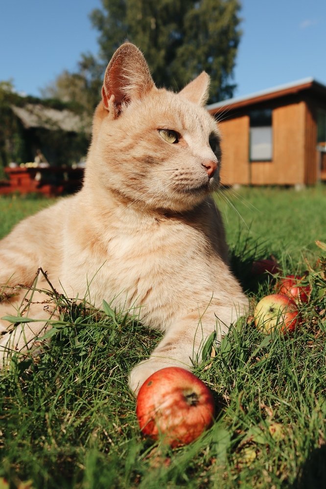 Photograph by Карина Хаустова