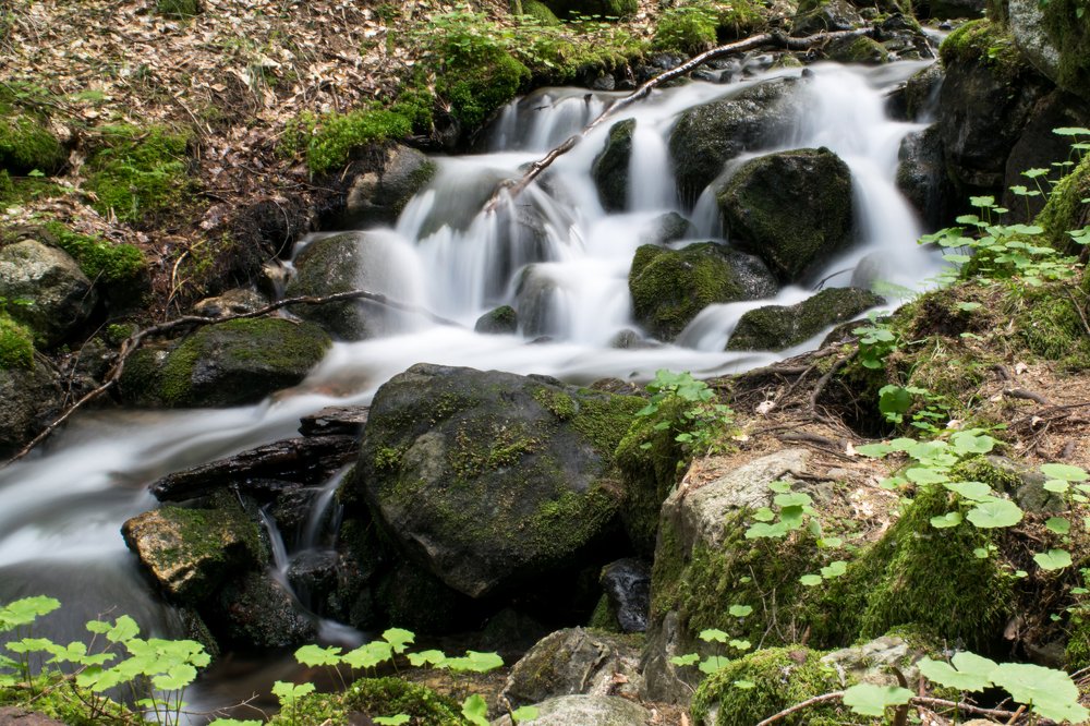 Photograph by Прокошева Екатерина