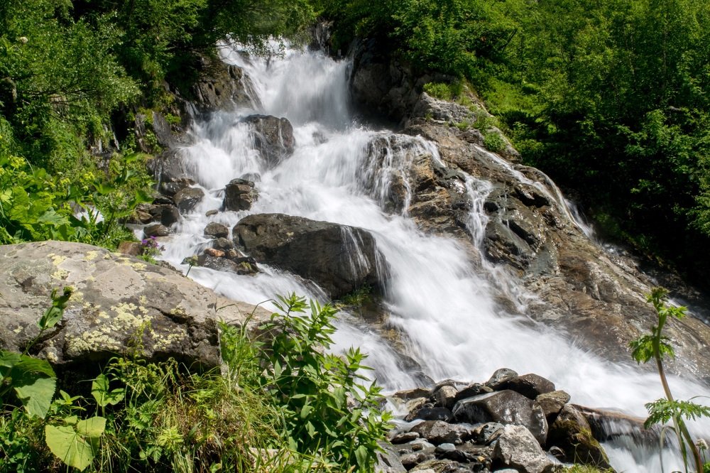 Photograph by Прокошева Екатерина