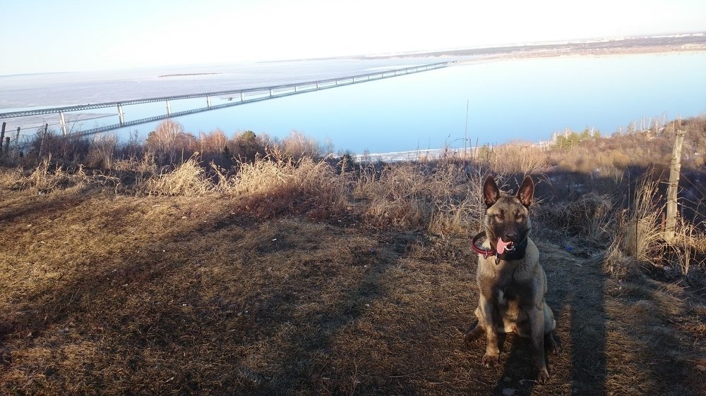 Image of the "President bridge"