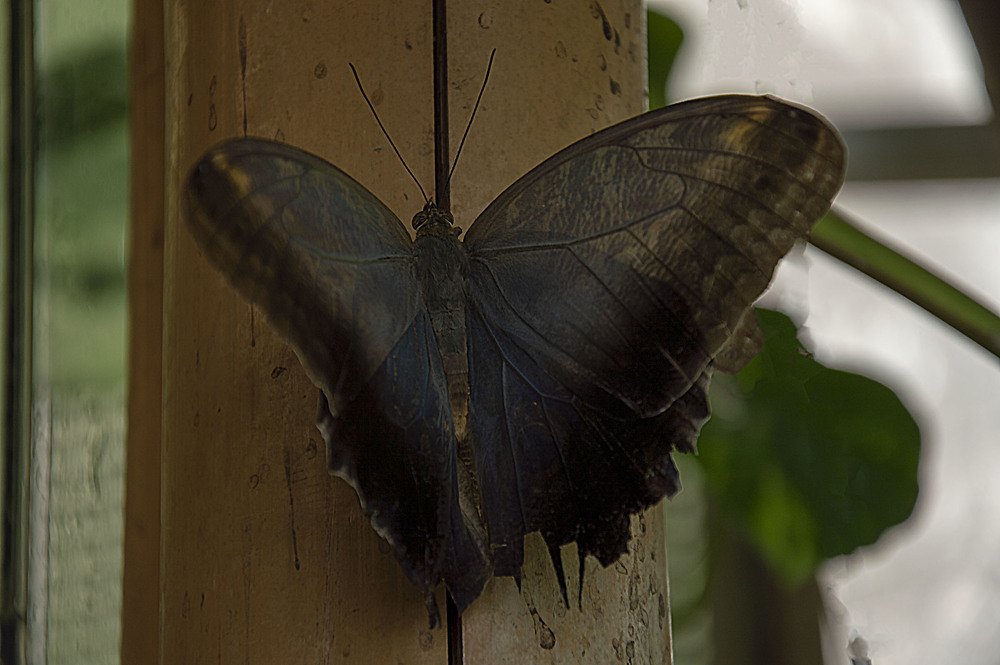 Photograph by Raivo Kremer