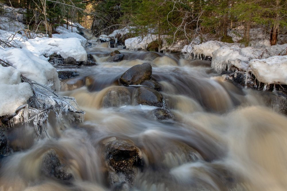 Photograph by Dmitry Gorbachev