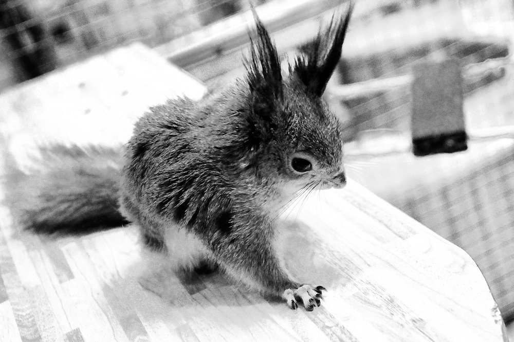 что ты мне предложишь