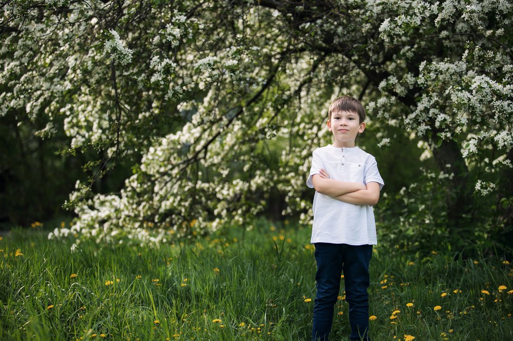 яблоневый цвет - возвращение в детство