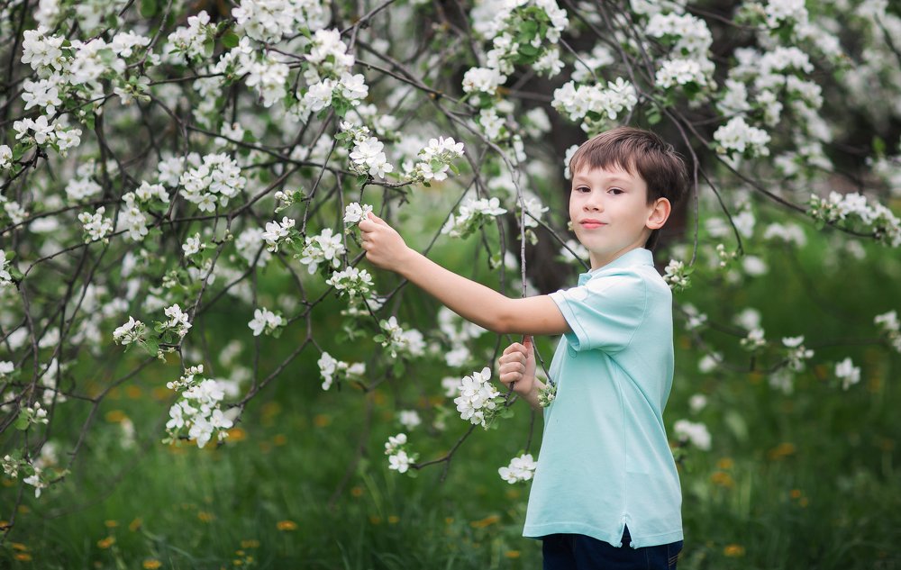 яблоневый цвет - возвращение в детство