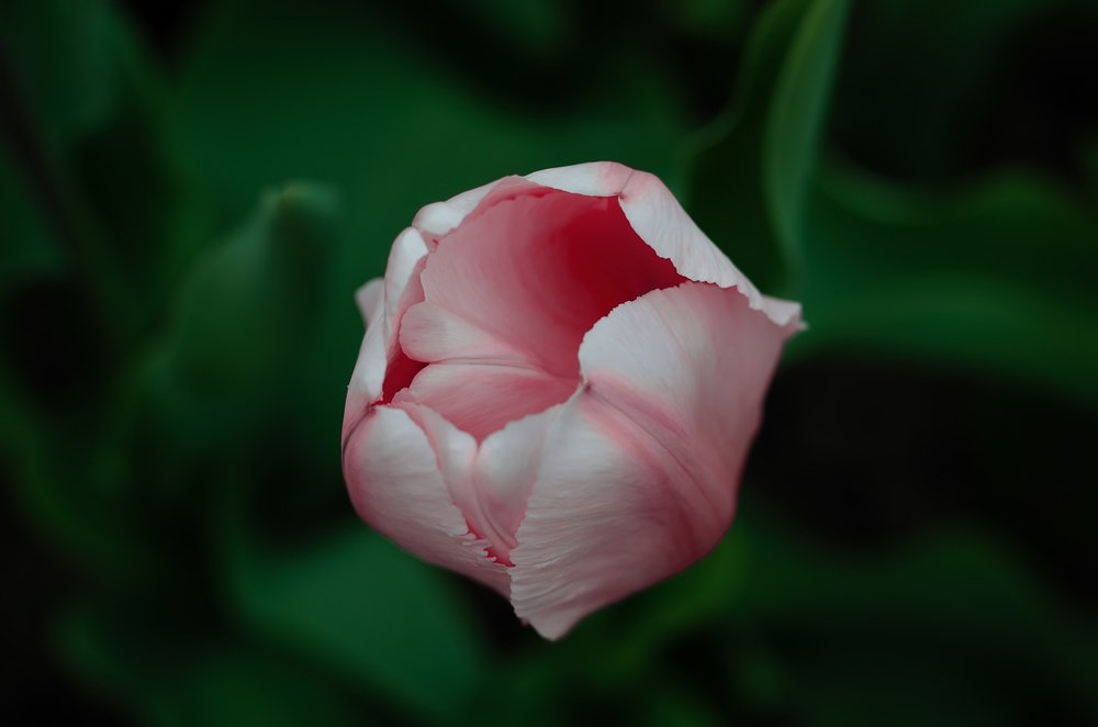 Пробуждение