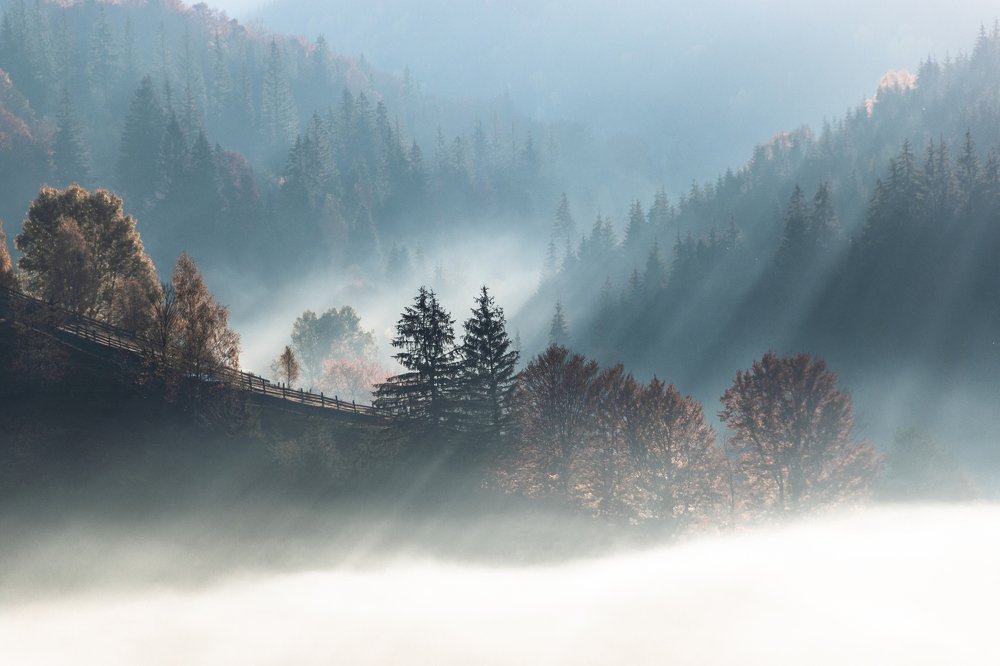 Ранковий  Туман.