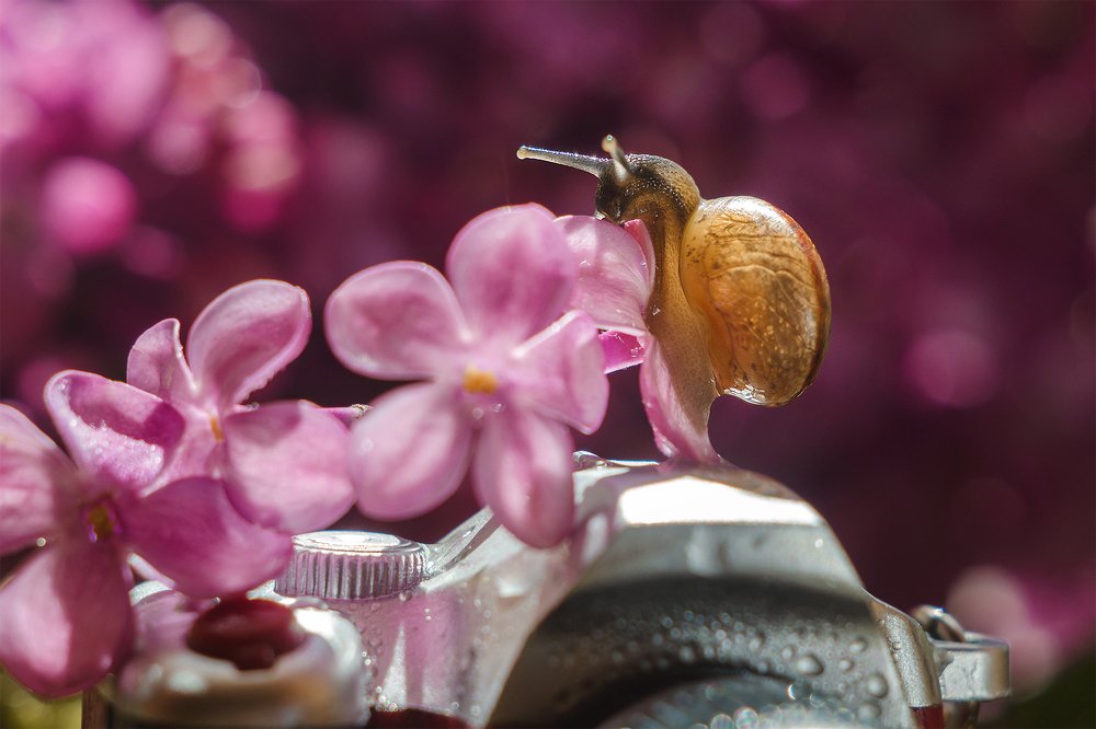 Photograph by Аксана Чалова