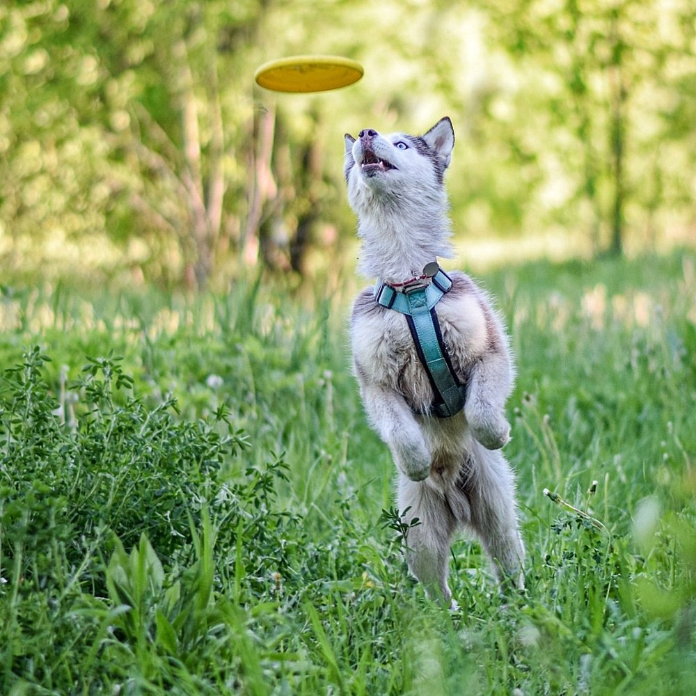 Фотография автора Мария Яропольская