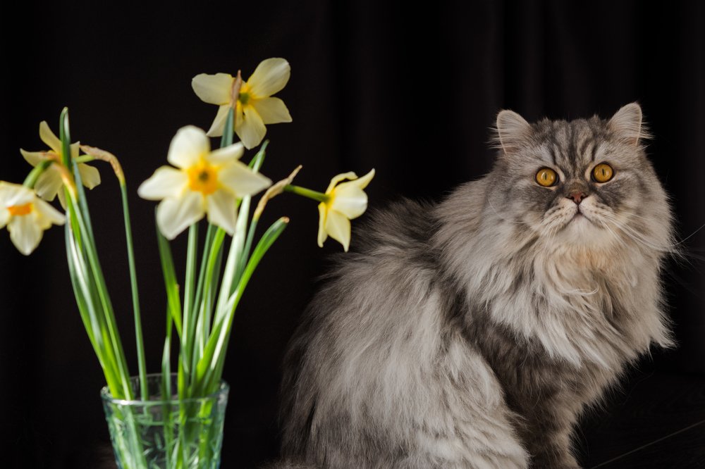 Как уже март?!