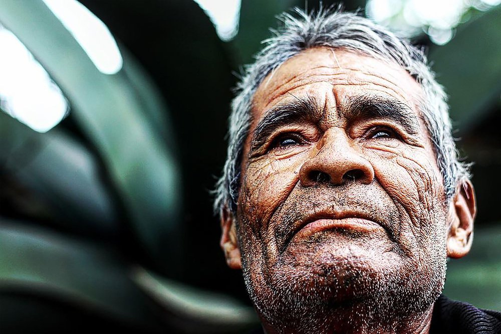 Looking at my harvest