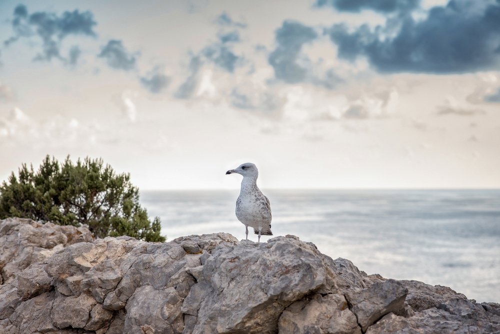 Меня то-нибудь покормит или так и будем стоять, смотреть