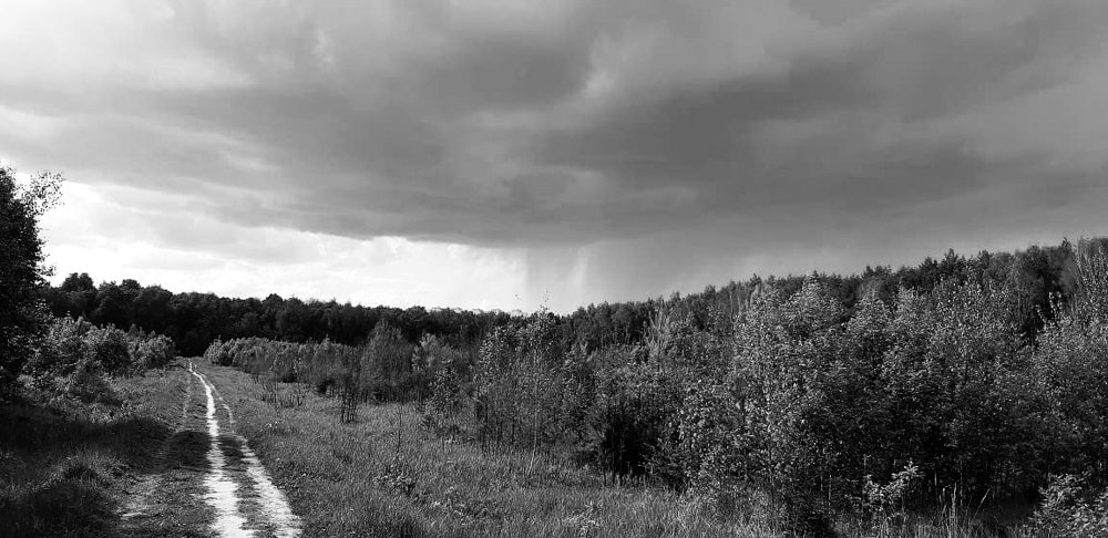 Перед грозой